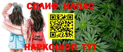 дмт Новозыбков
