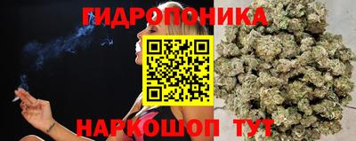 экстази Новодвинск