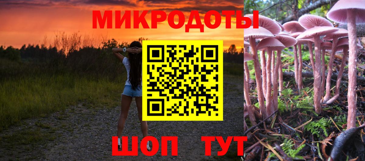 Псилоцибиновые грибы ЛСД  Галлюциногенные грибы Psilocybe  Вход с VPN  Тула 