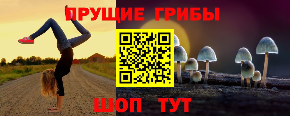 Галлюциногенные грибы Cubensis Тула